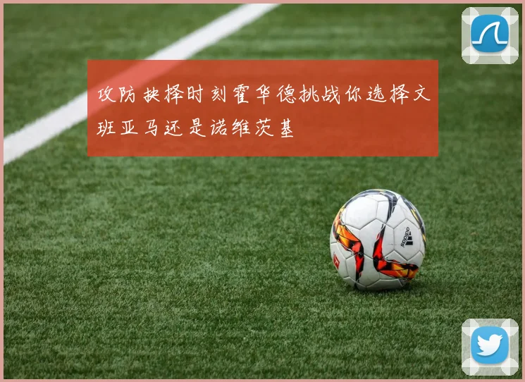 攻防抉择时刻霍华德挑战你选择文班亚马还是诺维茨基